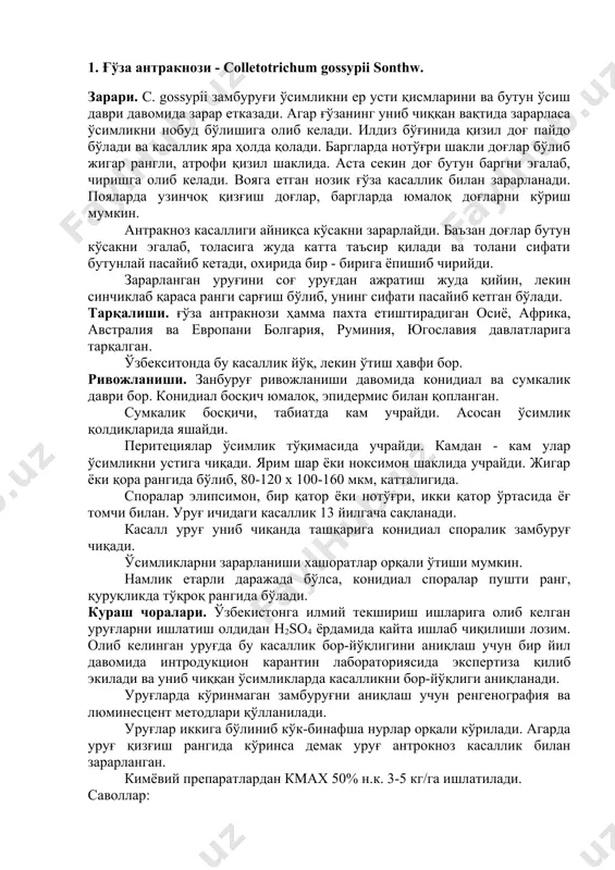 ўғри, икки қатор ўртасида ёғ томчи билан. уруғ ичидаги касаллик 13 йилгача сақланади. касалл уруғ униб чиқанда ташқарига конидиал споралик замбуруғ чиқади. ўсимликларни зарарланиши хашоратлар орқали ўтиши мумкин. намлик етарли даражада бўлса, конидиал споралар пушти ранг, қуруқликда тўқроқ рангида бўлади. кураш чоралари. ўзбекистонга илмий текшириш ишларига олиб келган уруғларни ишлатиш олдидан h2so4 ёрдамида қайта ишлаб чиқилиши лозим. олиб келинган уруғда бу касаллик бор-йўқлигини аниқлаш учун бир йил давомида интродукцион карантин лабораториясида экспертиза қилиб экилади ва униб чиққан ўсимликларда касалликни бор-йўқлиги аниқланади. уруғларда кўринмаган замбуруғни аниқлаш учун ренгенография ва люминесцент методлари қўлланилади. уруғлар иккига бўлиниб кўк-бинафша нурлар орқали кўрилади. агарда уруғ қизғиш рангида кўринса демак уруғ антрокноз касаллик билан зарарланган. кимёвий препаратлардан кмах 50% н.к. 3-5 кг/га ишлатилади. саволлар: 1. ғўза антракнози ғўзанинг қандай қисмларини зарарлайди? 2. ғўза антракнози зарарлаган ўсимликларни қандай белгилари бор? 3. замбуруғ неча ҳил шаклида учрайди? 4. бу касалликга қандай кураш чоралари бор? 2. картошка раки - …