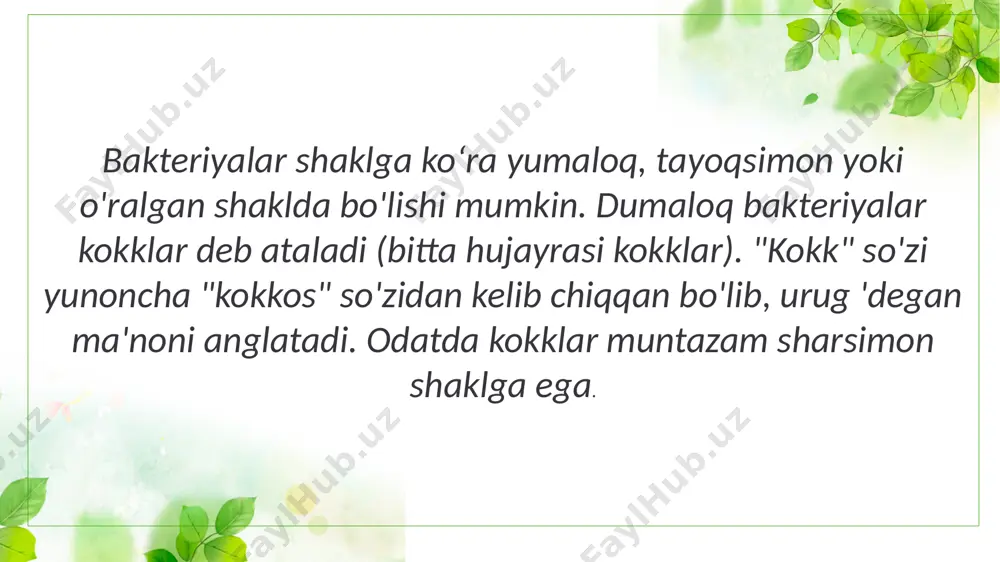 mikroorganizmlar morfologiyasi va sistematikasi - Page 4