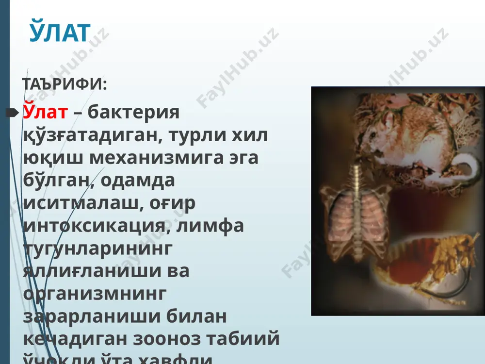ган пандемияларида 200 млн.га яқин киши вафот этган. тарихий маълумотлар ва географик тарқалиши (давоми) д.к.заболотний ўлат табиий ўчоқли касаллик эканлиги тўғрисидаги гипотезани илгари сурган бўлса, учинчи пандемия даврида, аниқроғи, 1897 йилда француз олими александр йерсин ва унинг япониялик ҳамкасби шибасабуро китазатолар бемор одам ва каламушдан ўлат касаллигининг қўзғатувчисини аниқлаган. тарихий маълумотлар ва географик тарқалиши (давоми) огата ва симонлар 1898 йилда ўлат касаллиги тарқалишида бургаларнинг роли борлигини эътироф этишган. д.к.заболотний ва л.м.исаевлар 1911 йилда чўлдан тутиб олиб келинган кемирувчи (суғур) дан, и.а.деминский 1912 йилда юмронқозиқдан ўлат қўзғатувчисини ажратиб олган. бокот ва мартинлар ўлат қўзғатувчиси юққан бургадан «ўлат блоки» феноменини аниқлашга муваффақ бўлган. тарихий маълумотлар ва географик тарқалиши (давоми) охирги йилларда дунёда ўлат касаллигининг эпидемияси кузатилмаяпти,бугунги кунда бу касаллик фақат спорадик (тарқоқ) ҳолатда чўл ва тоғ табиий ўчоқ ҳудудларида рўйхатга олинмоқда. республикамизда ўлат касаллигининг охирги ҳолатлари 1990,1999 йилларда навоий вилоятининг чўл ҳудудларида рўйхатга олинган (учқудуқ ва томди туманларида). тарихий маълумотлар ва географик …