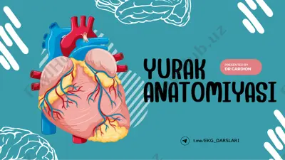 yurak anatomiyasi — PDF