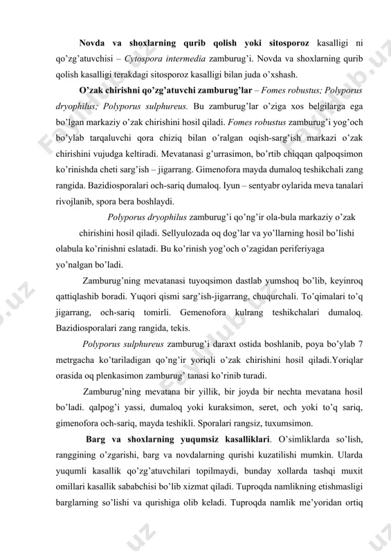 sekin – asta bir-biri bilan qo’shilib ketadi, qo’ng’ir jigarrang tusga kiradi va barg plastinkasining 75-80 foizini egallaydi. kuzda dog’lar yuzasida sarg’ish zarg’aldoq tusdagi qishlab chiquvchi mevatana lojelar hosil bo’ladi. zamburug’ ba’zan novdalarga ham o’tishi mumkin. novda va shoxlarning qurib qolish yoki sitosporoz kasalligi ni qo’zg’atuvchisi – cytospora intermedia zamburug’i. novda va shoxlarning qurib qolish kasalligi terakdagi sitosporoz kasalligi bilan juda o’xshash. o’zak chirishni qo’zg’atuvchi zamburug’lar – fomes robustus; polyporus dryophilus; polyporus sulphureus. bu zamburug’lar o’ziga xos belgilarga ega bo’lgan markaziy o’zak chirishini hosil qiladi. fomes robustus zamburug’i yog’och bo’ylab tarqaluvchi qora chiziq bilan o’ralgan oqish-sarg’ish markazi o’zak chirishini vujudga keltiradi. mevatanasi g’urrasimon, bo’rtib chiqqan qalpoqsimon ko’rinishda cheti sarg’ish – jigarrang. gimenofora mayda dumaloq teshikchali zang rangida. bazidiosporalari och-sariq dumaloq. iyun – sentyabr oylarida meva tanalari rivojlanib, spora bera boshlaydi. polyporus dryophilus zamburug’i qo’ng’ir ola-bula markaziy o’zak chirishini hosil qiladi. sellyulozada oq dog’lar va yo’llarning hosil bo’lishi olabula ko’rinishni eslatadi. bu …