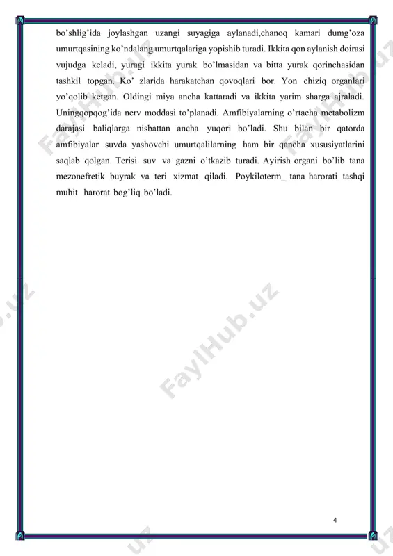asl uchun qayg’urish hodisasi deyarli barcha chyervyagalarda namoyon bo’ladi. suvda yashaydigan chyervyagalar tirik bola tug’adi. dumsizlar turkumi — ecaudata. dumsiz amfibiyalar eng yuqori tuzilgan va turlari nisbatan juda ko’p bo’lgan guruhdir. lekin ular ko’p turli bo’lgani bilan tuzilishi bir-biriga juda o’xshash, ya’ni ularning gavdasi kalta va keng bo’ladi, syerbar boshi tanasiga qo’shilib ketadi, dumi yo’q, keyingi oyoqlari oldingilariga nisbatan 2-3 marta uzun. oyoqning bunday tarzda tuzilishi sakrab yurish uchun xizmat qiladi. umurtqa pog’onasining dum bo’limi bitta uzun suyakcha ko’rinishida bo’ladi. qovurg’asi yo’q. peshona va tepa suyaklari qo’shilib, juft peshonatepa suyagini qosil qiladi. тirsak va bilak, katta va kichik boldir suyaklari ajralmagan. dumsizlar turkumi 5 ta kenja turkumga bo’linadi. bularning nomlari tana bo’li-midagi umurtqalarning qay shaklda bo’lishidan olingan. 1) amfitselalar kenja turkumi dumsizlar ichida eng primitivi bo’lib, umurtqalari amfitsel, unchauzun bo’lmagan qovurg’alari bor va dum muskullarining rudimenti saqlanadi. ikkita to`rni o’z ichiga olgan bitta silliqoyoqlilar oilasi bor. bu turlarning biri yangi …