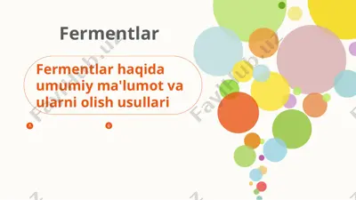 fermentlar 2 — PPTX