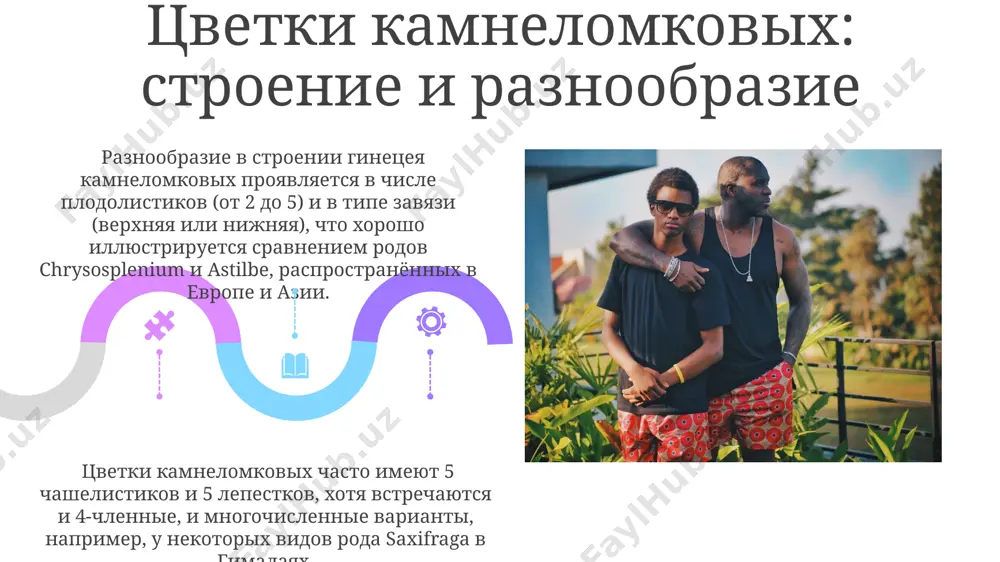 saxifragaceae — камнеломковые - Page 5