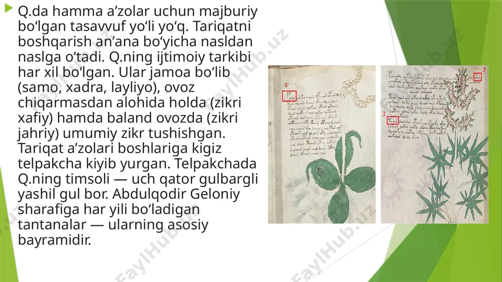 qodiriya tariqati - Page 4