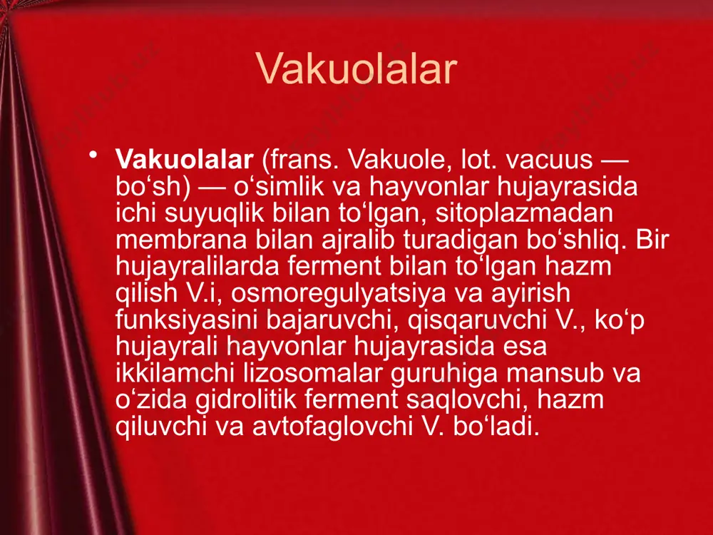 alar bo’lmaydi, ular hujayra qariy boshlagandan so’ng yuzaga keladi va bir-biri bilan qo’shilib, bitta yirik vakuola hosil qiladi. vakuola o’sib yiriklashib hujayraning 90% ini ishg’ol etadi va sitoplazmani hamda uning tarkibidagi organellalarni hujayra po’stiga qarab siqib suradi va natijada yupqa qavat hosil qiladi. vakuola ichida hujayra shirasi bo’lib, uning asosiy tarkibiy qismini suv tashkil etadi. suvda erigan mineral tuzlar, organik birikmalar (qand va polisaxaridlar), organik kislotalar, alkaloidlar, glikozidlar, pigmentlar va boshqa moddalar bo’ladi. plazmolizga uchragan hujayralar tiriklik xususiyatini saqlab qolsa, ularni suvga solib turgor holatini tiklash mumkin. bu hodisaga deplazmoliz (lot. deinkor) deb ataladi. deplazmoliz, plazmolizdan qaytish, turgorga o’tish demakdir. bunda hujayra suvni shimib olib plaz-moliz holatidan, turgor holatiga qaytadi. amalda qishloq xo’jaligidagi ko’p masalalar o’simlikning shu turgor va plazmoliz hodisasiga bog’liqdir. masalan, yoz faslida g’o’zalar o’z vaqtida sug’orilmasa, tuproq eritmasi quyuqlashib ketib, suvning o’simlik ildiziga o’tishi qiyinlashadi va ildiz hujayralarida plazmoliz hodisasi ro’y beradi. hujayra shirasi hujayra shirasining tarkibiy …