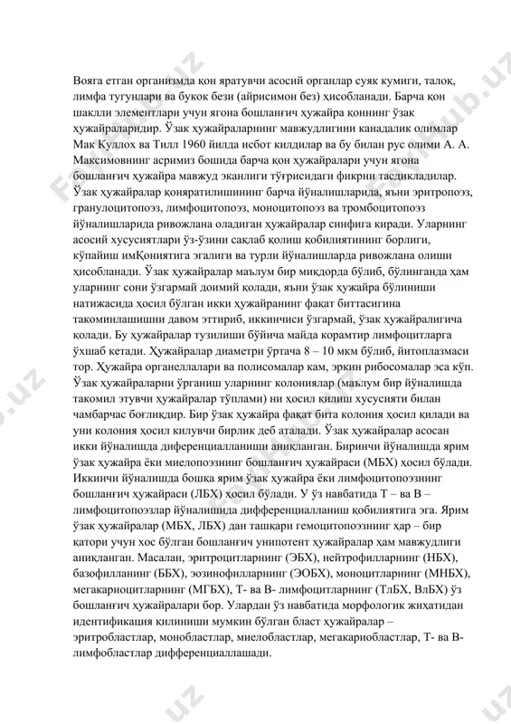 мфоцитопоэзлар йўналишида дифференциалланиш қобилиятига эга. ярим ўзак ҳужайралар (мбх, лбх) дан ташқари гемоцитопоэзнинг ҳар – бир қатори учун хос бўлган бошланғич унипотент ҳужайралар ҳам мавжудлиги аниқланган. масалан, эритроцитларнинг (эбх), нейтрофилларнинг (нбх), базофилланинг (ббх), эозинофилларнинг (эобх), моноцитларнинг (мнбх), мегакариоцитларнинг (мгбх), т- ва в- лимфоцитларнинг (тлбх, влбх) ўз бошланғич ҳужайралари бор. улардан ўз навбатида морфологик жиҳатидан идентификация қилиниши мумкин бўлган бласт ҳужайралар – эритробластлар, монобластлар, миелобластлар, мегакариобластлар, т- ва в- лимфобластлар дифференциаллашади. шундай қилиб, гемоцитопоэз жараёнида турли ҳужайралар синфлари мавжудлиги кўрилади: ўзак (ёки полипотент) ҳужайралар, ярим ўзак ҳужайралар (мбх ва лбх), унипотент ҳужайралар (эбх, эобх, нбх, ббх, мнбх, мгбх, тлбх, влбх), бласт ҳужайралар, етилувчи ҳужайралар, етук ҳужайралар. ўзак ҳужайралардан бошлаб то етук қон шаклли элементлари ҳосил бўлгунча кечадиган жараён қон яратувчи аъзоларда мавжуд бўлган микромухит таъсирида бўлади. микромухитни ҳосил килувчи асосий элементлар бўлиб, ретикуляр, интердигитик, дендритик ҳужайралар ва макрофаглар ҳисобланади. букок бези ёки тимусда эса бу жараёнда ретикулоэпителиал ҳужайралар асосий рол ўйнайди. …