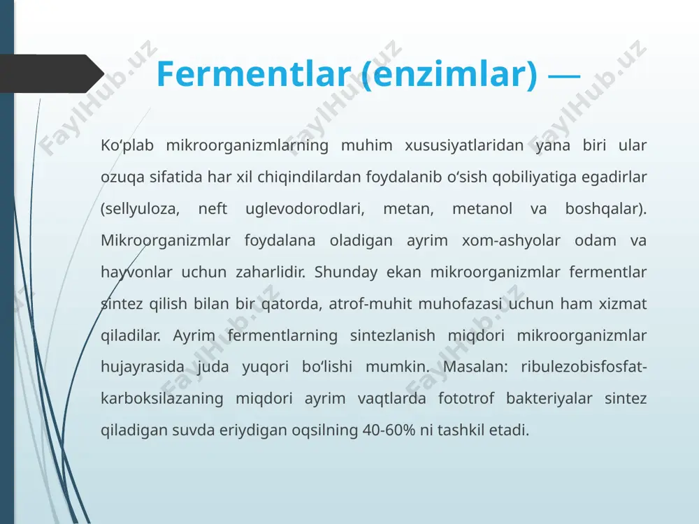 eptidlar hosil qiladi. bunday fermentlar juda kо‘p. ulardan ayrimlari kristall holatda olingan. mikroorganizmlar proteinazasi о‘zlarining xossalari bilan tubdan farq qilishi mumkin. ular neytral bо‘lishi mumkin (bacillus subtillis, asp.terricola), kislotali (asp.foetidus) va ishqorli, ya’ni ph ning har xil darajasida faoldirlar. ayrim mikroorganizmlar bir qancha proteinazalar sintezlash qobiliyatiga egadirlar. masalan: actinomyces fradiae 6 ta proteinaza sintezlaydi. amilazalar bakteriya va zamburug‘lardan olinadigan amilazalar kraxmalni kichik molekulyar shakarlar: dekistrinlar, glyukozalar, maltozalargacha parchalaydi. bakterial proteazalar pishloq pishirishda va teri oshlashda oqsillarni buzishda qо‘llaniladi. bacillus sp. dan olinadigan glyukozoizomeraza fermenti glyukozani fruktozaga aylantirishda yordamlashadi. keyingi vaqtlarda olimlar diqqat e’tiborini quyidagilar о‘ziga tortmoqda: siklodikstringlyukoziltransferaza (sdgt) ga moslashish, siklodekstrinlar birikmalarining ishlab chiqarilish: kimyoviy va farmakologik ishlab chiqarishda, oziq-ovqat mahsulotlari sifatini oshirishda, kosmetika va boshqalar ishlab chiqarishda zarurdir. lipazalar (3.1.1.3-triatsil glitseroloda gidrolazalar lipid (yog‘) almashinuvida ishtirok etadigan, katta amaliy qiziqish uyg‘otadigan fermentlar. kultura о‘sadigan muhitga ajratadigan lipazalarni ishlab chiqaruvchilarning kо‘pi mitseliali zamburug‘lardir. ulardan aspergillus, mucor, geotrichum, ayrim achitqi zamburug‘lar …