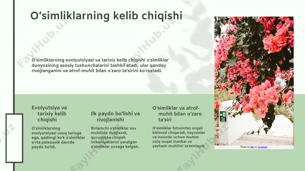 siy energiya manbai bo‘lib, ularni yashash va rivojlanish uchun zarur qiladi. oʻsimliklarning ko‘payish usullari urug‘ orqali, shuningdek, kesish, ildizdan o‘sish yoki ajralish orqali amalga oshiriladi. har bir usul oʻsimliklarning turlariga va sharoitlariga mos ravishda tanlanadi. photo by ales krivec on unsplash 04.26.24 1 2 3 04.26.24 oʻsimliklarning ekologik roli xona oʻsimliklari ekosistemda havoni tozalash, iqlimni tartibga solish va biologik xilma-xillikni saqlashda muhim rol oʻynaydi. ular havo ifloslantiruvchilarni kamaytiradi, iqlim sharoitlarini muvofiqlashtiradi va turlarning xilma-xilligini ta'minlaydi, shuningdek, tuproq muhofazasi va inson salomatligini yaxshilashda yordam beradi. photo by ali moradi on unsplash 04.26.24 04.26.24 oʻsimliklar va inson hayoti oʻsimliklar inson hayotida muhim rol oʻynaydi. ular oziq-ovqat, dori-darmon va sanoat uchun asosiy manba hisoblanadi. masalan, don, meva va sabzavotlar. oʻsimliklardan foydalanish oʻsimliklar oziq-ovqat, dori va dekorativ maqsadlarda keng qoʻllaniladi. choy, yovvoyi oʻsimliklar va ularning ekstraktlari tibbiyotda muhimdir. dekorativ oʻsimliklar estetik uchun ishlatiladi. ruhiy salomatlik va oʻsimliklar oʻsimliklar insonning ruhiy holati va kayfiyatiga taʼsir …