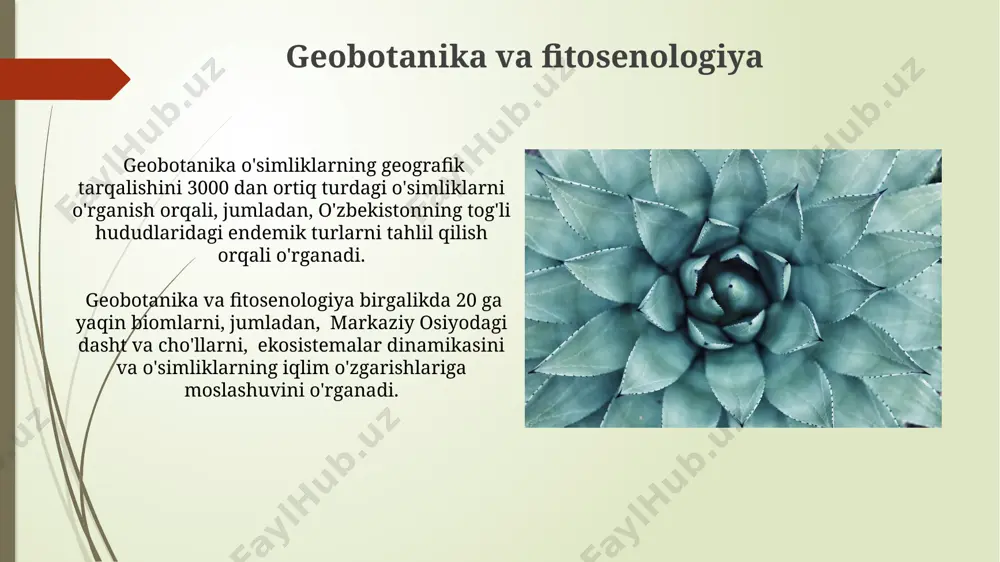 o'simliklar geografiyasi asoslari - Page 5