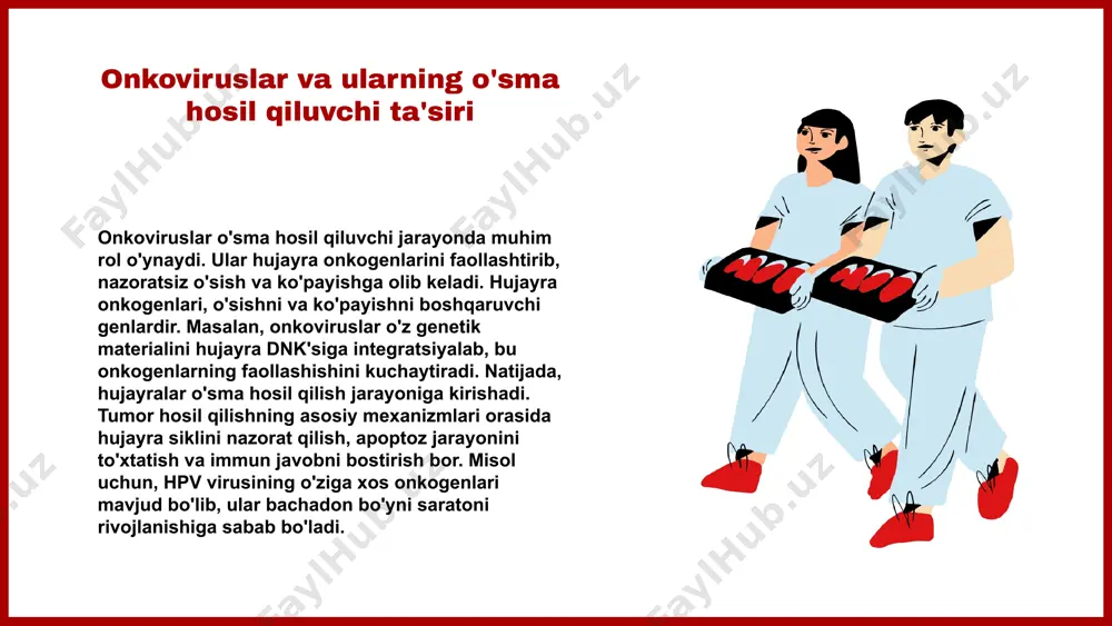 ogenlar o'rtasidagi o'zaro ta'sir, kanserogenez jarayonida muhim rol o'ynaydi. kanserogenezda onkoviruslarning ahamiyati o'sma hosil qilishdagi onkoviruslarning roli onkoviruslar kanserogenez jarayonida muhim rol o'ynaydi. ular genetik materialni o'z ichiga olgan holda hujayralarga kirib, ularning normal funksiyalarini buzadi. masalan, hpv (humon papillomavirus) serviks saratoni uchun asosiy sabab hisoblanadi, chunki u hujayralarning o'sish va bo'linish mexanizmlarini o'zgartiradi. boshqa onkoviruslar, masalan, hbv va hcv, jigar saratoni rivojlanishida ham ishtirok etadi. davolash strategiyalaridagi ahamiyati onkoviruslar bilan bog'liq saratonni davolashda innovatsion strategiyalar muhim ahamiyatga ega. vaksinalar, masalan, hpv ga qarshi vaksina, saratonning oldini olishda samarali hisoblanadi. immunoterapiya ham onkoviruslarga qarshi kurashishda muhim rol o'ynaydi, chunki u immun tizimini kuchaytiradi va saraton hujayralarini yo'q qilishga yordam beradi. xulosa 1. onkoviruslar o‘sma hosil qiluvchi viruslardir va ularning tarqalish yo‘llari hamda ta’siri sog‘liq uchun muhimdir. 2. o‘rganilgan onkoviruslar va ularning biologik mexanizmlari, onkogenlarning o‘sma hosil qilish jarayonidagi roli haqida ma’lumotlar, bu jarayonni yanada chuqurroq tushunishga yordam beradi. 3. hujayra …