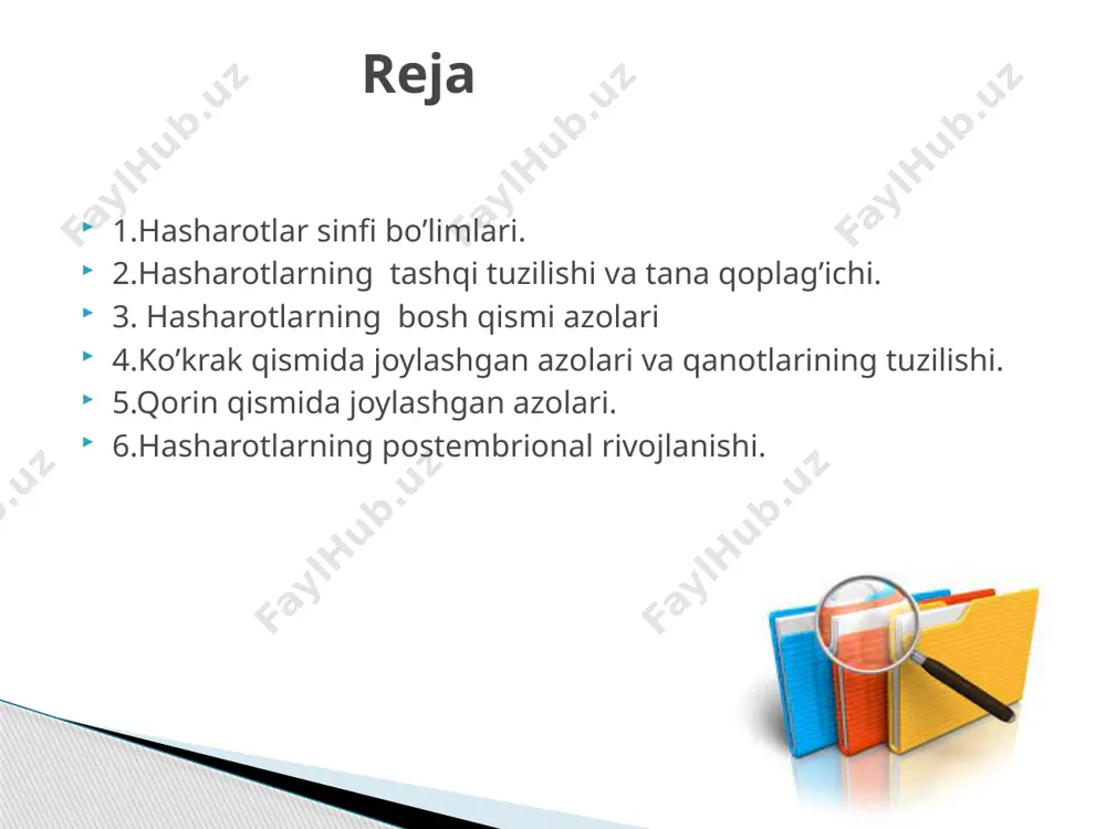 an tuzilgan; qanotli h.ning oʻrta va orqa koʻkraklarida bir juftdan qanotlar bor. urgʻochisi qornining uchida 11 boʻgʻimdan iborat tuxum qoʻygich, erkaklarida esa bir juft oʻsimtalar mavjud. ovqat hazm qilish yoʻli ozuqani mexanik hamda kimyoviy qayta ishlaydigan ichaklardan tashkil topgan. h.ning individual rivojlanishi bir necha bosqichli (fazali) toʻliq yoki chala oʻzgarish (metamorfoz) bilan kechadi. chala oʻzgarish bilan rivojlanish 3 faza (bosqich)da: tuxum, lichinka (imagoga oʻxshash) va voyaga yetgan hasharot — imago orqali amalga oshadi. toʻliq oʻzgarish bilan rivojlanishda esa lichinka (odatda chuvalchangsimon) bilan imago oraligʻida /umbaklik davri ham kuzatiladi. h.ning hayot sikli boʻgʻin (avlod)lar soni, mavsumiy dinamika (oʻzgarish)ning oʻziga xosligi va diapauza xususiyatlari bilan belgilanadi. tanasining uzunligi 0,2 mm — 33 sm, odatda tashqi skeletni tashkil qiluvchi zich kutikula bilan qoplangan. tanasi bosh, koʻkrak va qorin qismlardan iborat. boshida bir juft murakkab koʻz va koʻzchalari, bir juft moʻylovlari (hid tuyish va sezgi orga-ni) hamda ogʻiz apparati joylashgan. ogʻiz apparati yuqori lab, …
