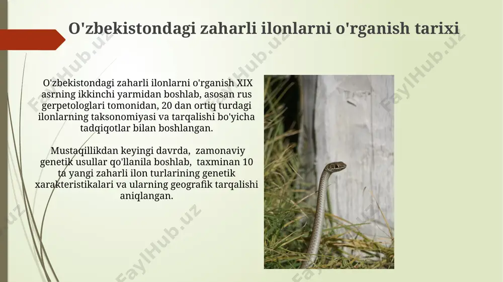 o'zbekistonning zaharli ilonlari - Page 5