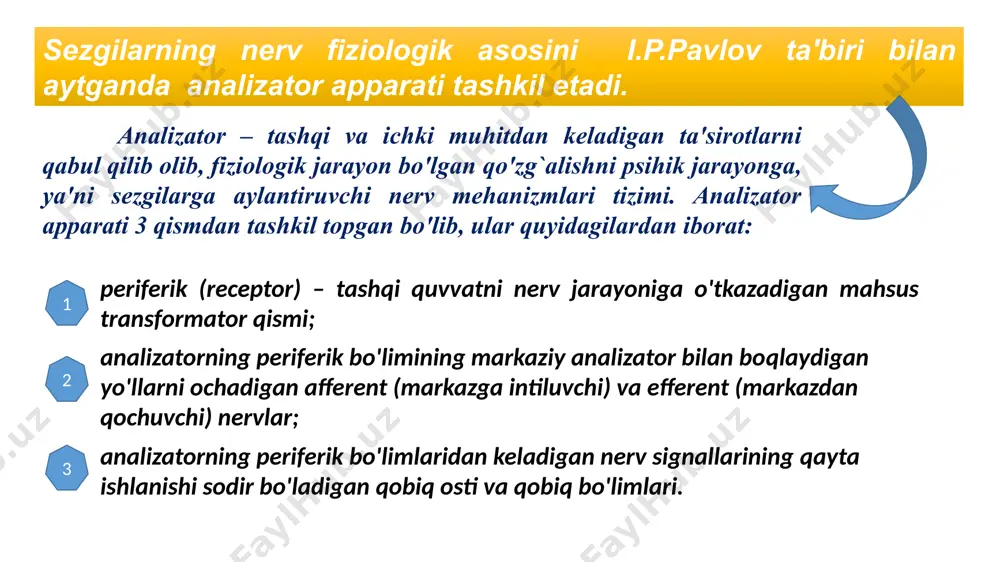 monidan uni to'la isbotlab berilgan ushbu nazariyaga binoan to'r pardaning kolbachalarida uchta asosiy element mavjuddir, ulardan birining qo'zg`alishi qizil rang sezgisini, ikkinchi qo'zg`alishi yashil rang sezgisi va uchinchi qo'zg`alishi binafsha rang sezgisini hosil qiladi. nazariyaga ko'ra yorug`lik to'lqinlari birdaniga uchta elementni bir hilda qo'zg`atsa, oq rang sezgisi vujudga keladi. lekin yorug`lik to'lqinlari ikki yoki uch elementga ta'sir qilsa-yu, ammo bu bir tekis kechmasa, u holda sezuvchi elementlardan har birining qanchalik qo'zg`aluvchanligiga qarab, har xil rang sezgilari namoyon bo'ladi. eshitish sezgilari tovushlarni eshitishdan iborat bo'lib, musiqaviy va shovqinli tovushlarni aks ettiradi. odatda tovushlar oddiy va murakkab turlarga ajratiladi, ularning birinchisi tonli, ikkinchisi esa bir necha tondan tashkil topadi. ta'm bilish sezgilari shirin, achchiq, nordon, sho'r singari mazalarni his qilish bilan tavsiflanadi. ta'm bilish sezgilarining organi tilning yuzasi va tanglayning yumshoq qismidan tashkil topgan. tilning shilliq pardasida maxsus ta'm bilish so'rg`ichlari mavjud bo'lib, ularning tarkibi tayoqchasimon hujayralardan tuzilgan maxsus ta'm bilish “kurtaklari”ga …