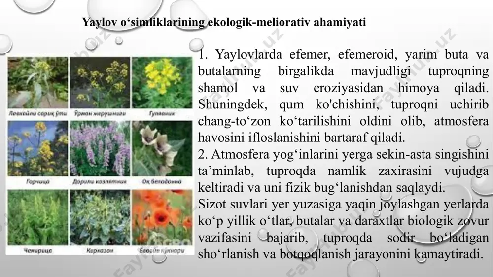 учун рахмат ! image2.png image4.png image5.png image6.png image7.png image8.png image9.png image10.png image11.png image12.png image3.png image13.jpeg image14.jpeg image1.png /docprops/thumbnail.jpeg