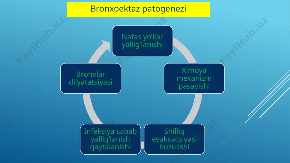 bronxoektaz kasalligi - Page 5