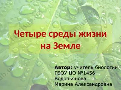 четыре среды жизни на земле — PPTX