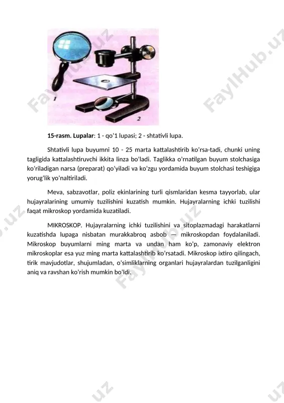 rat) qo’yiladi va ko’zgu yordamida buyum stolchasi teshigiga yorug’lik yo’naltiriladi. meva, sabzavotlar, poliz ekinlarining turli qismlaridan kesma tayyorlab, ular hujayralarining umumiy tuzilishini kuzatish mumkin. hujayralarning ichki tuzilishi faqat mikroskop yordamida kuzatiladi. mikroskop. hujayralarning ichki tuzilishini va sitoplazmadagi harakatlarni kuzatishda lupaga nisbatan murakkabroq asbob — mikroskopdan foydalaniladi. mikroskop buyumlarni ming marta va undan ham ko’p, zamonaviy elektron mikroskoplar esa yuz ming marta kattalashtirib ko’rsatadi. mikroskop ixtiro qilingach, tirik mavjudotlar, shujumladan, o’simliklarning organlari hujayralardan tuzilganligini aniq va ravshan ko’rish mumkin bo’ldi. 16-rasm. mikroskop: 1 - okulyar; 2 - ob’yektiv; 3 - buyum stolchasi (kursisi); 4 - ko’zgu; 5 - makrovint; 6 - shtativ; 7 - taglik. mikroskopning tuzilishi 16-rasmda berilgan. mikroskop necha marta kattalashtirib ko’rsatishini bilish uchun ob’yektiv bilan okulyardagi sonlar bir-biriga ko’paytiriladi. masalan, okulyar 15x bo’lib, ob’yektiv x40 bo’lsa (15x40), buyum 600 marta kattalashtirilgan bo’ladi. 1. tirik organizmlar qanday tuzilgan? 2. hujayrada qanday hayotiy jarayonlar kuzatiladi. 3. kattalashtirib ko’rsatadigan asboblarga nimalar …