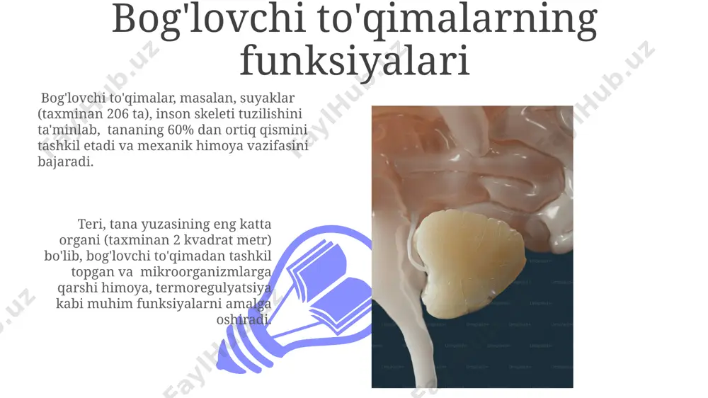 uchli va moslashuvchan bo'lib, ularning zichligi, 1 kvadrat millimetrda 1000 dan ortiq kollagen tolalariga ega bo'lishi mumkin. biriktiruvchi to'qimalarning 20 dan ortiq turi mavjud bo'lib, ularning tarkibi va funksiyalari, masalan, suyak to'qimasi (osteotsitlar) yoki qon (eritrotsitlar, leykotsitlar) kabi, joylashgan hududiga qarab farq qiladi. bog'lovchi to'qimalarning ta'rifi bog'lovchi to'qimalar tananing 4 asosiy to'qima turining biri bo'lib, hujayralararo moddaning ko'pligi va turli xil hujayra turlari bilan tavsiflanadi, masalan, fibroblaslar va makrofaglar, butun dunyo bo'ylab 200 dan ortiq turdagi sutemizuvchilar organizmida uchraydi. ushbu to'qima turining asosiy vazifasi organlar va to'qimalarni bir-biriga bog'lash, qo'llab-quvvatlash va himoya qilishdir; masalan, suyaklar, xaftaga va teri kabi strukturaviy elementlarning 70% dan ortig'ini tashkil etadi va shuning uchun inson organizmining muhim tarkibiy qismi hisoblanadi. e'tiboringiz uchun rahmat @taqdimot_robot image4.jpg image5.jpg image6.jpg image7.jpg image8.jpg image9.jpg image10.jpg image11.jpg image12.jpg image13.jpg image1.jpeg image2.jpeg image3.jpeg