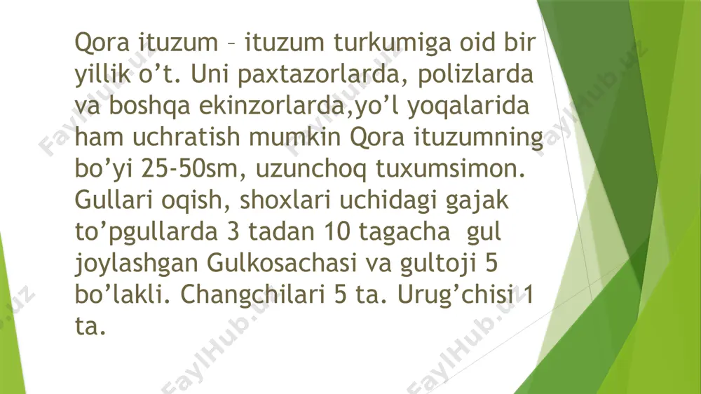 qora ituzum - Page 4