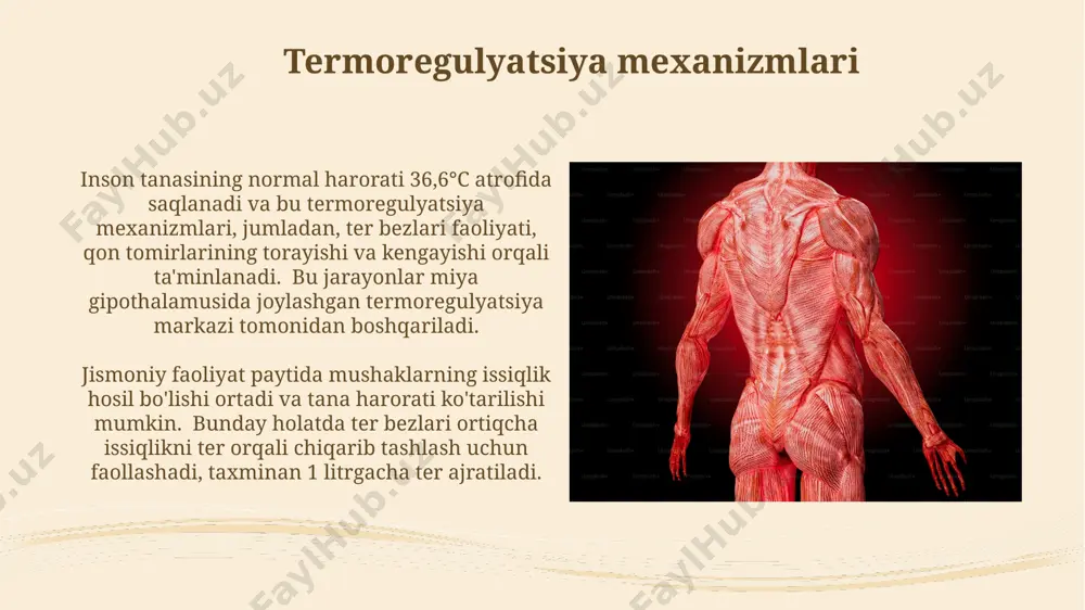 ichlari hisoblanadi va bu 50 yoshdan oshgan odamlarda tezroq yuz beradi. energetik almashinuv jarayonlari inson tanasida, kuniga taxminan 2000-2500 kkal energiya sarflanadi, bu esa oziq-ovqat mahsulotlaridagi uglevod, yog' va oqsillarni parchalanishi va ularning energiyaga aylanishi bilan ta'minlanadi. energetik almashinuvdagi atp sintezi jarayoni hujayra mitoxondriyalarida, 32-34 atp molekulasi hosil bo'lish bilan, elektronlar transport zanjiri orqali amalga oshadi, bu esa hujayraning energiya ehtiyojini qondiradi. sezuvchanlik va idrok etish miyada ma'lumotlarni qayta ishlash tezligi individual farqlarga ega bo'lib, o'rtacha 100 millisekund atrofida o'zgarib turadi va bu esa shaxsning reaksiya tezligiga ta'sir ko'rsatadi. masalan, avstraliyadagi tadqiqotlar shuni ko'rsatdiki,... og'riq sezuvchanligi va uning idrok etilishi, masalan, 1-10 balli shkala orqali o'lchanadi, shaxsning genetik xususiyatlari, ya'ni xromosoma 2 tugunlaridan biri bilan bog'liq bo'lishi mumkin. nerv tizimining roli nerv tizimi, taxminan 100 milliard neyronga ega boʻlib, mushaklarning harakatini, 300 dan ortiq suyakning birgalikdagi faoliyatini va butun tananing 70% suv tarkibini boshqarishda muhim rol oʻynaydi. periferik nerv sistemasining …