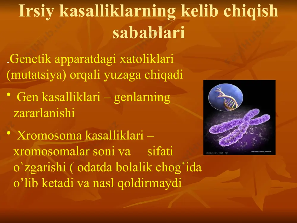 sallik bilan tug`ilishi mumkin. sababi: qarindoshlar o`rtasidagi nikoh, odatda , sog’lom ota onalardan tug'iladi. (46+1 ko'rinishidagi xromosoma) 13-15 juft xromosoma ortib ketishi belgilari «заячья губа» или «волчья пасть», ko`zlar anamaliyasi, boshqa poroklar ko`p holatlarda o`lim bilan tugaydi.tugilgandan keyin 2-3 xafta yashaydi. uzog’i 2-3 yosh marfan sindromi arxanodakteliya barmoqlarnig o`rgimachaksimon tuzilishga ega ba’zan sog’lom va iqtidorli insonlarda ham past formali turlari ham uchrab turadi : chaykovskiy, paganini edvards sindromi sabab: yoshi o`tgan ayollardan tug`iladi. belgilari: bo`yi past, bosh va yuz suyaklarinng anamaliyasi, yaxshi eshitmaydi chunki quloqlar yazshi rivojlanmaydi . ko`zlari qisqa. oqibati: ichki organlar , yuz va tana defekti. o’g’il bolalar ko’p yashamaydi irsiy kasaliklarni oldini olish uchun: qarindoshlar o`rtasida nikoh tuzmaslik avlodda irsiy kasalliklar kelib chiqish ehtimollarini tekshirish homiladorlik vaqtida tekshirish ishlarini olib borish patau sindromi (трисомия 13 700 tadan 1 tada uchraydi.(bu degani 4000-3500 ta bolaga 1ta kasal bola tog’ri keladi)o`g`il bolalar ham qiz bolalar ham kasallik bilan tug`ilishi …