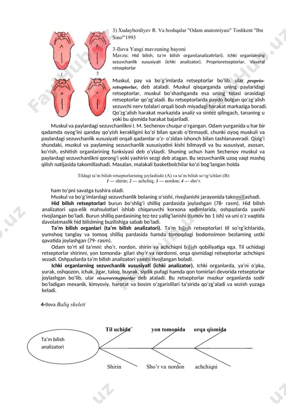 2) zaxarova t. m, nikolayeva l.b "odam tanasi va sog'liqnl saqlash" toshkent "o'qituvchl "1983 3) xudayberdiyev r. va boshqalar "odam anatomiyasi" toshkent "ibn sino"'1993 3-ilova yangi mavzuning bayoni mavzu: hid bilish, ta’m bilish organi(analizatirlari). ichki organlarning sezuvchanlik xususiyati (ichki analizator). proprioretseptorlar, visseral retseptorlar muskul, pay va bo‘g‘imlarda retseptorlar bo‘lib, ular proprio- retseptorlar, deb ataladi. muskul qisqarganda uning paylaridagi retseptorlar, muskul bo‘shashganda esa uning tolasi orasidagi retseptorlar qo‘zg‘aladi. bu retseptorlarda paydo bolgan qo‘zg‘alish sezuvchi nerv tolalari orqali bosh miyadagi harakat markaziga boradi. qo‘zg‘alish harakat markazida analiz va sintez qilingach, tananing u yoki bu qismida harakat bajariladi. muskul va paylardagi sezuvchanlikni i. m. sechenov chuqur o‘rgangan. odam yurganida u har bir qadamda oyog‘ini qanday qo‘yish kerakligini ko‘zi bilan qarab o‘tirmaydi, chunki oyoq muskuli va paylardagi sezuvchanlik xususiyati orqali qadamlar o‘z- o‘zidan ishonch bilan tashlanaveradi. qizig‘i shundaki, muskul va paylaming sezuvchanlik xususiyatini kishi bilmaydi va bu xususiyat, asosan, ko‘rish, eshitish organlarining funksiyasi deb …