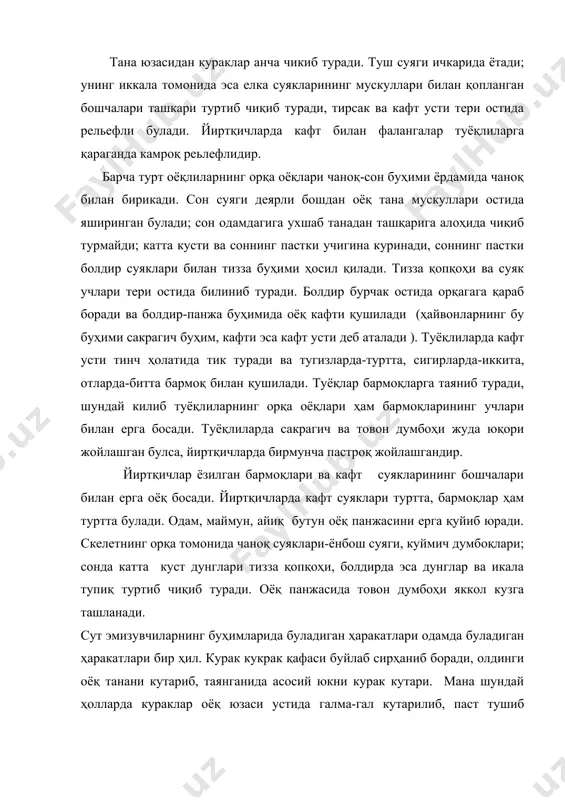 уртиб чиқиб туради, тирсак ва кафт усти тери остида рельефли булади. йиртқичларда кафт билан фалангалар туёқлиларга қараганда камроқ реьлефлидир. барча турт оёқлиларнинг орқа оёқлари чаноқ-сон буҳими ёрдамида чаноқ билан бирикади. сон суяги деярли бошдан оёқ тана мускуллари остида яширинган булади; сон одамдагига ухшаб танадан ташқарига алоҳида чиқиб турмайди; катта кусти ва соннинг пастки учигина куринади, соннинг пастки болдир суяклари билан тизза буҳими ҳосил қилади. тизза қопқоҳи ва суяк учлари тери остида билиниб туради. болдир бурчак остида орқагага қараб боради ва болдир-панжа буҳимида оёқ кафти қушилади (ҳайвонларнинг бу буҳими сакрагич буҳим, кафти эса кафт усти деб аталади ). туёқлиларда кафт усти тинч ҳолатида тик туради ва тугизларда-туртта, сигирларда-иккита, отларда-битта бармоқ билан қушилади. туёқлар бармоқларга таяниб туради, шундай килиб туёқлиларнинг орқа оёқлари ҳам бармоқларининг учлари билан ерга босади. туёқлиларда сакрагич ва товон думбоҳи жуда юқори жойлашган булса, йиртқичларда бирмунча пастроқ жойлашгандир. йиртқичлар ёзилган бармоқлари ва кафт суякларининг бошчалари билан ерга оёқ босади. …