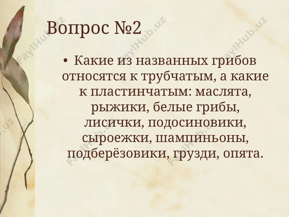 плесневые грибы - Page 4