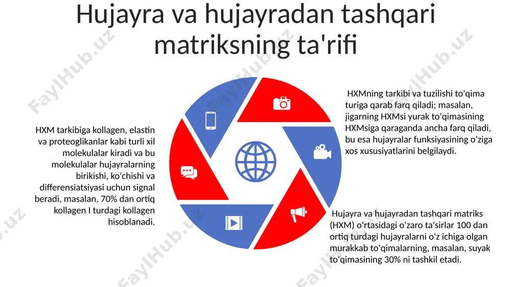 saraton metastazida, 50 dan ortiq hujayra yopishqoqligi molekulalari, masalan integrinlar, ekstrasellulyar matriks bilan o'zaro ta'sir orqali hujayralarning invaziyasi va metastazlanishini yo'naltiradi, bu esa qo'shma shtatlar singari rivojlangan mamlakatlarda saraton o'limlarining asosiy sabablaridan biri hisoblanadi. o'pka fibrozida, 200 dan ortiq turdagi oqsillarni o'z ichiga olgan ekstrasellulyar matriksning haddan tashqari to'planishi natijasida alveolalarni qattiqlashishi va nafas olish funksiyasining buzilishi kuzatiladi, bu esa jahon sog'liqni saqlash tashkiloti ma'lumotlariga ko'ra, yiliga 3 million kishining o'limiga sabab bo'ladi. osteoartritda, 10 dan ortiq xondrotsitlarning ekstrasellulyar matriks bilan o'zaro ta'siri buzilishi natijasida bo'g'imlarda yallig'lanish va xaftaga to'qimasining degeneratsiyasi kuzatiladi, bu esa buyuk britaniya kabi mamlakatlarda nogironlikning keng tarqalgan sababi hisoblanadi. sales 1st qtr 2nd qtr 3rd qtr 4th qtr 35 25 20 15 to'qima differensiatsiyasi va rivojlanishi to'qima differentsiatsiyasi jarayonida hujayralar o'rtasidagi aloqa ecm tarkibiy qismlari, masalan, 20 dan ortiq turdagi kollagenlar orqali amalga oshirilib, to'qimalarning 3d tuzilishi va mexanik xususiyatlarini belgilaydi, bu esa to'qima rivojlanishida muhim …