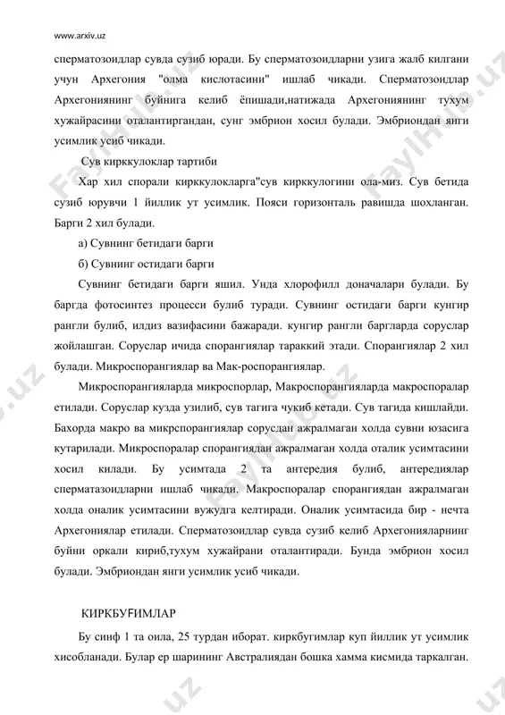 п йиллик ут усимлик хисобланади. булар ер шарининг австралиядан бошка хамма кисмида таркалган. шулардан 11 тури мдхнинг хар хил жойларида, 3 тури узрда учрайди. жанубий американинг тропик кисмида учрайдиган киркбугимнинг поясининг йугонлиги 2 см, узунлиги эса 12 м га етади.у буталарга осилиб усади. бу синфга мдхнинг хамма ерларида учрайдиган "дала кирккбугимини"вакил килиб оламиз. дала киркбугими куп йиллик ут усимлик булиб унинг илдизпояси ерга чукур урнашган. илдизпоядан, катталиги данакдек келадиган туганаги бор. бу туганакда запас озик моддалар тупланади. илдиз поядан ер бетига поялар усиб чикади. бу пояларнинг узунлиги 1 м гача булиши мумкин. киркбугимнинг пояси 2 хил булади. 1. вегетатив ёки ассимиляцион поя -ёзги: 2. спора берувчи поя-бахорги вегетатив поя яшил рангда булиб, кеч бахорда усиб чикади, кузда куриб колади. бу пояни "ёзги поя" деб хам юритилади. спора берувчи поя жигаранг-пушти булиб, эрта кукламда усиб чикади. споралари етилиб тукилгандан сунг куриб колади. поясида бир канча бугим ораликлари булгани учун бу усимликни …