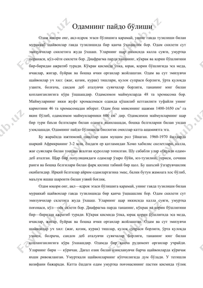 одамнинг пайдо бўлиши — DOC