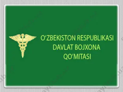 o'zbekiston respublikasi bojxona xizamti — PPTX