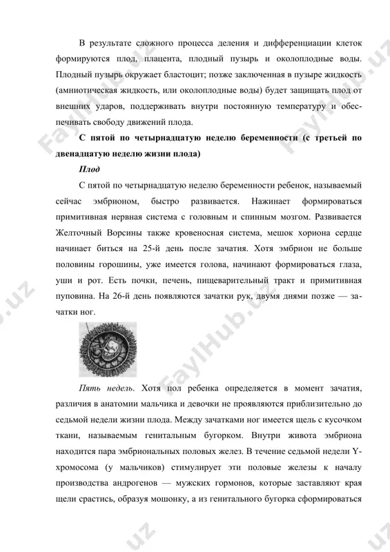 желудочный сок, печень вырабатывает красные кровяные клетки, руки шевелятся. эмбрион растет приблизительно на один миллиметр в день, каждый день развиваются различные части тела. между 46-м и 48-м днями первая настоящая костная клетка замещает хрящ в скелете. появление первых костных клеток в руках эмбриологи называют окончанием периода эмбрионального развития. с этого момента растущий ребенок называется плодом. в течение первых трех месяцев развития плод становится вполне активным, хотя вы, скорее всего, еще не ощущаете никакого движения. руки и ноги плода шевелятся. он может хмуриться и улыбаться, сосать палец, заглатывать околоплодные воды и писать стерильной мочой в околоплодные воды. жидкость полностью обменивается приблизительно каждые три часа. сформированы голосовые связки, плод совершает дыхательные движения (грудь поднимается и опускается), но никакого обмена воздуха, конечно, нет, поскольку плод погружен в околоплодные воды. фактически «вдыхание» околоплодных вод помогает развитию легких. к восьмой—десятой неделе сердцебиение уже достаточно сильно, чтобы обнаруживаться узи. глаза плода закрыты веками и не открываются …