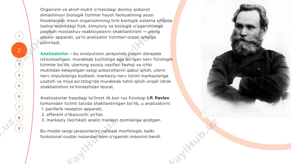 reseptorlar: mushak hushtakchalari, bo‘g‘im retseptorlari, pay retseptorlari • markaziy qismi: parietal po‘stloq (somatosensor korteks), serebellum • vazifasi: holatni idrok qilish, harakatlarni ongli va avtomatik boshqarish 6 3 1 4 2 7 5 har bir analizator 3 qismdan iborat: 1. reseptor (periferik) qismi vazifasi: atrof-muhit (yoki ichki muhit) ta’sirlarini qabul qilish va ularni nerv impulslariga aylantirish (ya’ni sezgi energiyasini bioelektrik impulsga transduksiya qilish). tuzilishi va xususiyati: • reseptorlar — bu ixtisoslashgan sezuvchi hujayralar bo‘lib, ular ma’lum bir fizik yoki kimyoviy ta’sirga sezgir. • har bir reseptor faqat o‘ziga xos ta’sir turini (masalan: yorug‘lik, bosim, tovush, kimyoviy moddalar) qabul qiladi. • ular spetsifik sezuvchanlik, adaptatsiya, sezgilarning chegarasi kabi xossalarga ega. misollar: • ko‘zning retinasidagi tayoqcha va konussimon hujayralar (fotoretseptorlar) • quloqning korti organidagi tovushni sezuvchi hujayralar • teridagi mexanoretseptorlar, termoretseptorlar 8 9 7 3 1 4 2 6 5 8 9 2. o‘tkazuvchi (afferent) qismi vazifasi: reseptorda hosil bo‘lgan impulsni markaziy nerv …