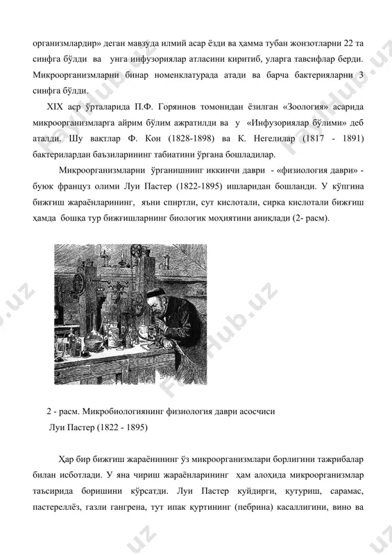 склифасовский ва бошқалар шулар жумласидандир. xix асрда кўп мамлакатларда медицина микробиологияси ривожланди. медицина микробиологиясининг ривожланишига немис олими роберт кох (1843 - 1910) кўп ҳисса қўшди. у соф микроб культурасини ажратиш учун қаттиқ (қуюқ) озиқ муҳитидан фойдаланишни таклиф этади. одам ва қорамолларда сил касаллигини қўзгатувчисини ҳамда вабо вибрионини ажратиб олишга муваффақ бўлди, микроскопик методларни такомиллаштирди, иммерсион системани қўллашни ва микрофотографияни амалиётга киритди. и. и. мечников (1845 - 1916) фагоцитоз ва унинг иммунитетдаги аҳамияти ҳақида тўлиқ таълимот яратди, чиритувчи ва сут кислота ҳосил қилувчи бактерияларнинг антагонизмини аниқлади ва вабо касаллигини ўрганишга ўз ҳиссасини қўшди. россияда биринчи бактериологик станция ташкил этди. унинг раҳбарлиги остида йирик микробиологлар: г. н. габричевский, а. м. микробиология фанининг ривожланишида безредка, и. г. савченко, л. а. тарасевич, н. ф. гамалея, д. к. заболотний ва бошқалар етишиб чиқди.д. и. ивановский (1864-1920) алоҳида роль ўйнади. у тамаки баргларининг мозаика касаллигини ўрганиб, 1892 йилда фильтрланувчи вирусларни аниқлади ва вирусология фанига асос солди. …