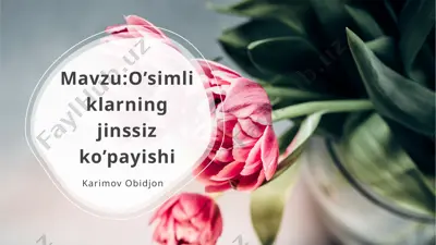 o’simliklarning jinssiz ko’payishi — PPTX