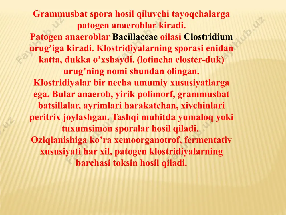 isbatan patogenligi tabiiy sharoitda qoqshol bilan ot va qoramollar kasallanadi. ularning koʼpchiligi qoqshol qoʼzgʼatuvchisini tashib yuradilar. kasallikning odamlardagi patogenezi kasallik bakteriyasi ular najasi orqali tuproqqa tushib, spora holida koʼp yillargacha saqlanib turishi mumkin. kasallik sporalari teri yoki shilliq qavatga tuproq orqali tushadi. ekzotoksin qonga tushadi va qon orqali miyaning harakatlantiruvchi nerv markaziga taʼsir etadi. nerv sistemaning zararlanishi natijasida organizmdagi turli muskul guruhlarining tortishi roʼy beradi. koʼp hollarda klinik belgilari aniq boʼlganligi uchun laboratoriya tashhisi oʼtkazilmaydi. bakteriologik usul: maxsus oziq muhitlarga sof hosilani ajratib olish uchun ekiladi. biologik usul: biologik sinama oq sichqonning orqa oyogʼi muskuli orasiga yuboriladi. laboratoriya tashhisi davosi va profilaktikasi maxsus profilaktikasida qoqshol anatoksini qoʼllaniladi. reja boʼyicha akds va ads-m vaktsinalar 2,3,4,16 oylikda va 7, 16-17, 26, 46 yoshli bola va kattalarga qilinadi. yarali infektsiya qoʼzgʼatuvchilari anaerob infektsiya poliepidemiologik kasallik. uni cl.perfingens urugʼiga mansub qoʼzgʼatuvchilarning bir necha turlari qoʼzgʼatadi. yarali anaerob infektsiya qoʼzgʼatuvchilariga cl.perfingens, cl.novyi, cl.septicum, cl.difficile, cl.sordellii, …