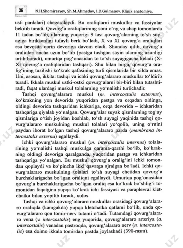 kalla chanog'i suyagining ichki asosi - Page 5