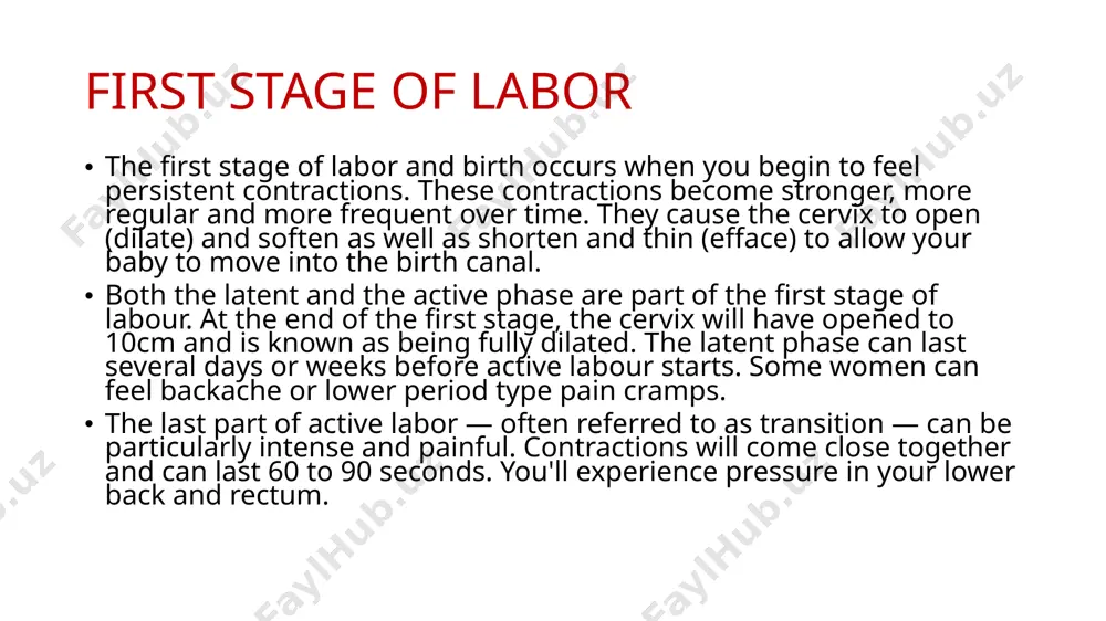 stages of labor - Page 3