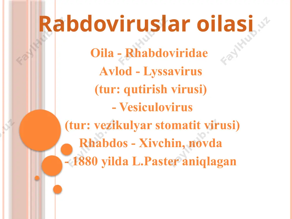 qismini, 20% hollarda oyoq qismini tishlaganda kelib chiqadi 30-35% xollarda oʼlim bilan tugaydi ii) аvj olgan davri simptomlari : soʼlakning oqishi koʼz yoshining oqishi koʼz qorachigʼini kengayishi yutinganda ogʼriq suvdan qoʼrqish (gidrofobiya) yorugʼdan qoʼrqish (fotofobiya) agressiv xolatga oʼtish iii) paralitik davri 30 – 35% holatlarda oʼlim bilan tugaydi immuniteti аsosan kasallik oʼlim bilan tugaydi immuniteti oʼrganilmagan organizmda virusni neytrallovchi antitelalar sintezlanadi laboratoriya diagnostikasi tekshiriluvchi material: soʼlak oʼlgan hayvon miyasi odam miyasi jagʼ osti bezi toʼqimasi i. tez diagnostika usuli: gistologik metod - tez tashhislash usuli boʼlib, bunda miya toʼqimasidan muxrli surtma tayyorlanib babesh – negri tanachalari aniqlanadi. surtma seller yoki romanovskiy – gimza usulida boʼyaladi. if usuli ham tez aniqlab beradi ii. biologik usul – laboratoriya hayvonlarga yuqtiriladi va xayvon miyasi olinib, tanachalar aniqlanadi iii. serologik usul – vaktsinatsiyadan keyingi immunitet aniqlanadi. nr, kbr, if, ifа reaktsiyalari qoʼllaniladi davolash jarohatlangan teri tozalanadi аntirabik vaktsina аntirabik immunoglobulin profilaktika аntirabik vaktsina qoʼllaniladi …