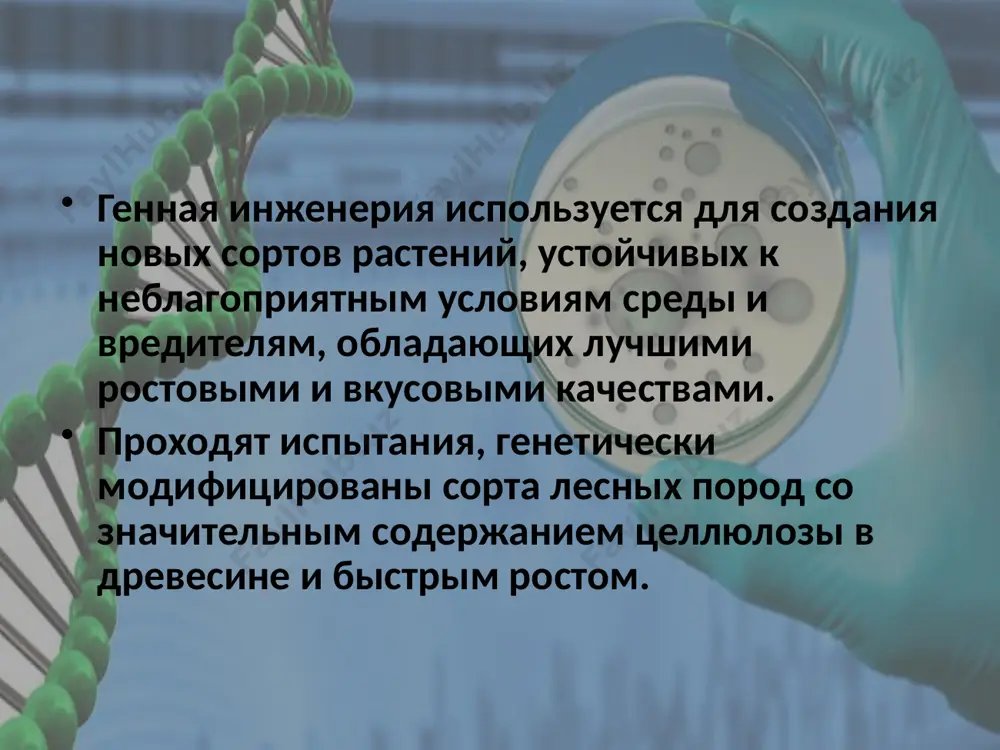 кормовые дрожжи, лизин, витамины и др.), производство которых связано с определенной экологической опасностью. в качестве примера можно привести создание высоколизинового сорта ячменя в дании. этот ячмень содержит 6 г/кг лизина (против 3,8 г/кг в обычном ячмене). следует расширить производство бактериальных удобрений (особенно нитрагина), биологических средств борьбы с болезнями растений и их вредителями, биологических консервантов кормов. для повышения плодородия почвы необходимо применять органические удобрения, компосты и обезвреженные путем метанового брожения жидкие отходы животноводческих ферм. спасибо за внимание image1.jpeg image2.jpeg image3.jpeg image4.jpeg image5.jpeg image6.jpeg /docprops/thumbnail.jpeg