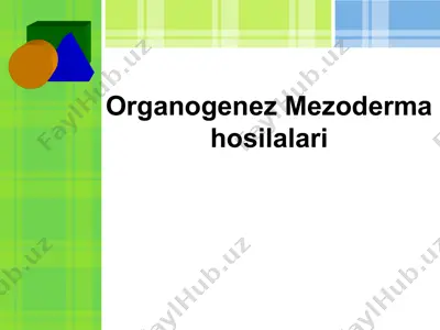 organogenez mezoderma hosilalari — PPTX