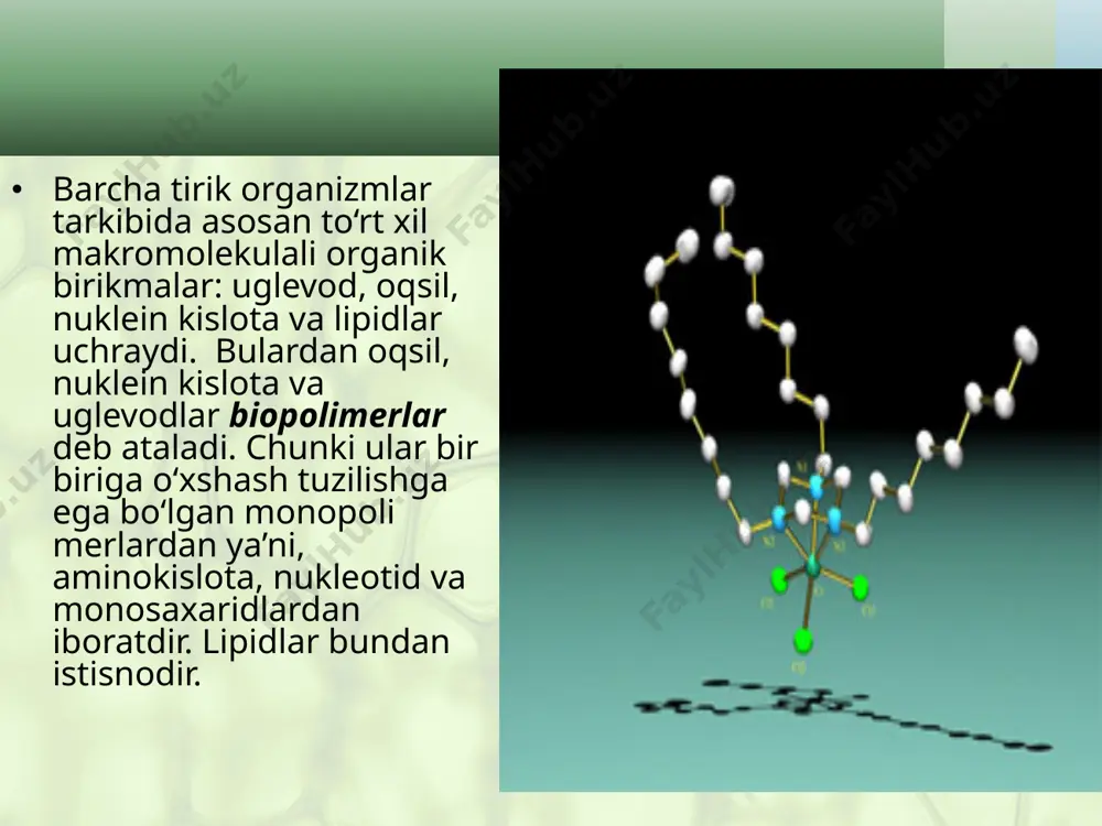 biomolekulalar. 9 - sinf - Page 3