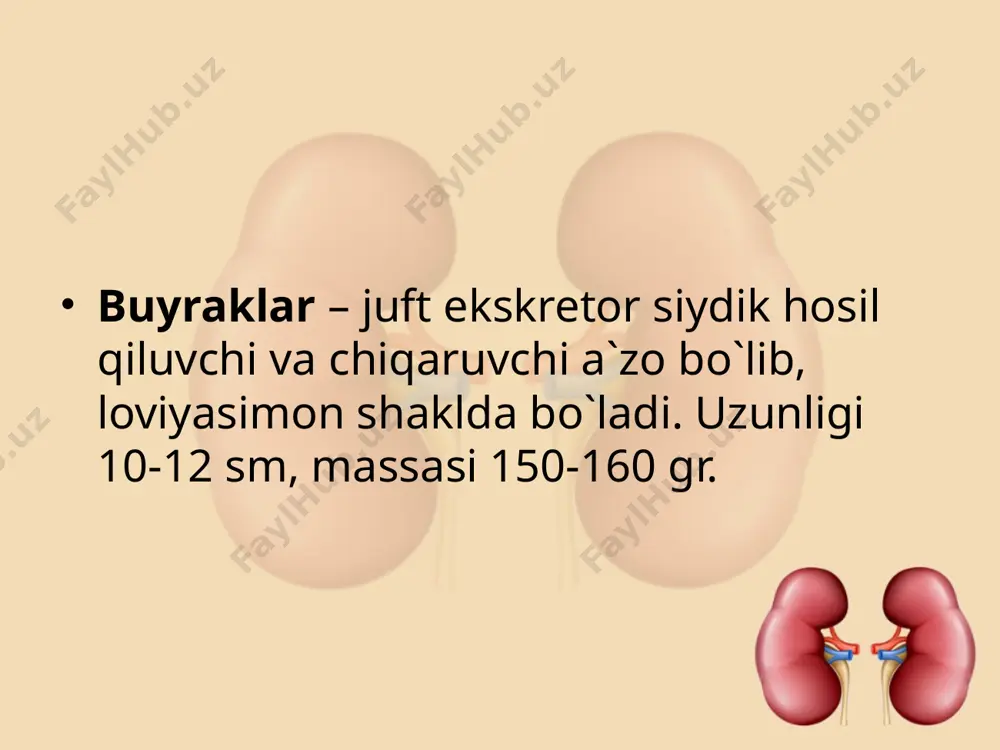 buyrak kasalliklarida klinik laborator ko’rsatkichlar - Page 3