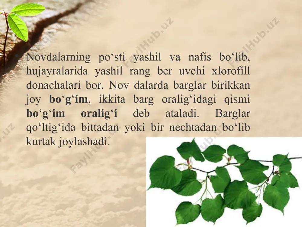 novda. 5 - sinf - Page 4
