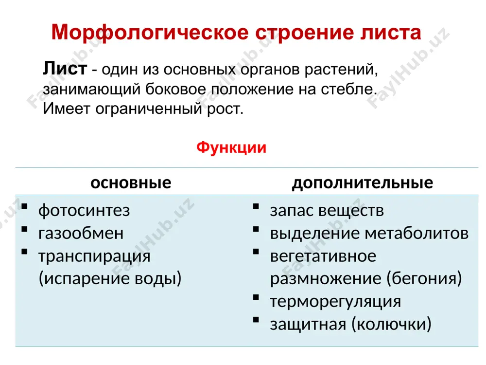крепляется только один лист (дурман, липа) супротивное – в узле расположено по два листа на противоположных сторонах стебля (клен, сирень, крапива). мутовчатое – в узле расположено по 3 листа и более (можжевельник). простые листья – имеют один черешок и одну листовую пластинку. сложные листья – состоят из нескольких листовых пластинок, соединенных с общим черешком (рахис) небольшими черешками. формы листовых пластинок округлая треугольная продолговатая овальная ланцетная линейная лопаточная сердцевидная чешуйчатая игольчатая серповидная формы верхушки листа 1 – тупая 2 – острая 3 – заостренная 4 – остроконечная 5 - выемчатая 1 2 3 4 5 формы основания листа 1 – клиновидная 2 – округлая 3 – сердцевидная 4 – стреловидная 5 - копьевидная 1 2 3 4 5 формы края листа 1 2 3 4 5 1 – цельный 2 – городчатый 3 – зубчатый 4 – пильчатый 5 - выемчатый у простых листьев листовая пластинка бывает цельной и сильно изрезанной …