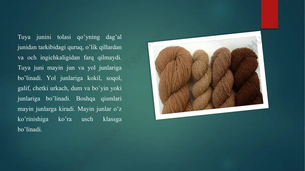 semizlik darajasi har xil bo’lgan tuyalarning jun mahsuldorligi - Page 4