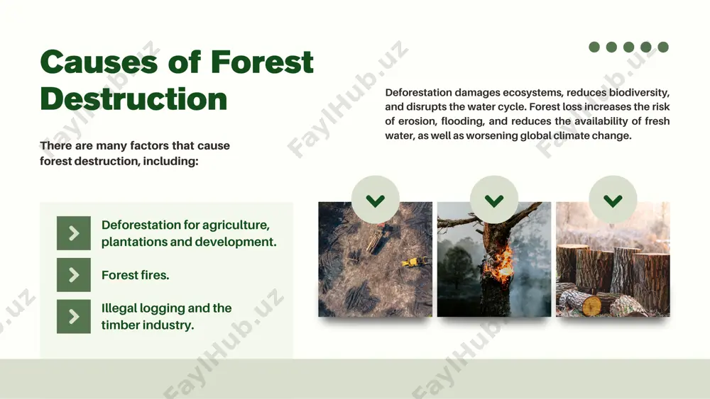 restoring the forest - Page 4