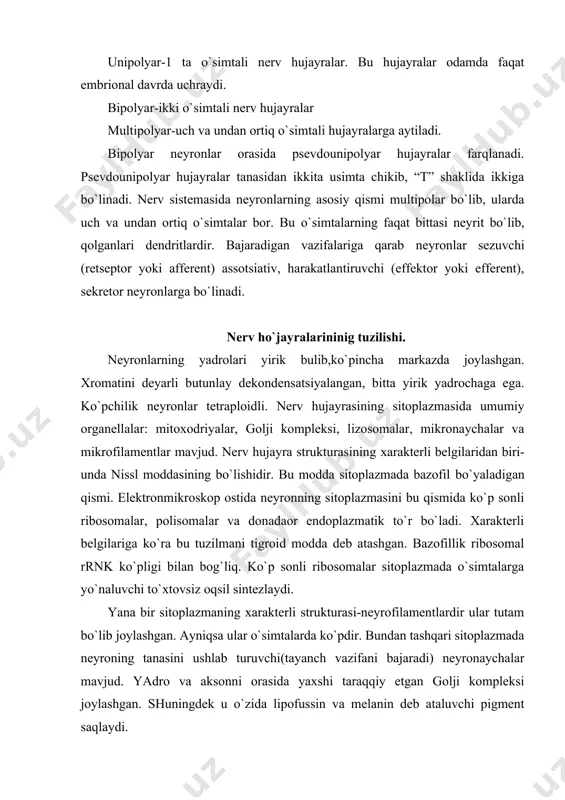 b turuvchi(tayanch vazifani bajaradi) neyronaychalar mavjud. yadro va aksonni orasida yaxshi taraqqiy etgan golji kompleksi joylashgan. shuningdek u o`zida lipofussin va melanin deb ataluvchi pigment saqlaydi. neyrogliya - yuqorida aytib o`tilganidek neyrogliya hujayralari hujayralararo modda vazifasini bajaradi. bosh va orqa miya nerv to`qimasida tomirlar devoridan tashqari biriktiruvchi to`qima uchramaganligi uchun u yumshoq va siyrak bo`ladi. neyronlarninig tanasida yotuvchi strukturasiz massaga o`xshash neyrogliya hujayralari va kapillyarlari - neyropil deyiladi va kulrang moddani asosini tashkil etadi. elektronmikroskopik tekshirishlar ko`rsatadiki, hujayra tanalari, neyroglial hujayralar o`siqlari va neyronlar bir-biri bilan chigal hosil qiladi. kumush bilan bo`yash shuni ko`rsatadiki, 4 xil tipdagi neyroglial hujayralar mavjud: · oligodendrotsitlar-shoxsimon o`simtali mayda hujayralar · astrotsitlar-mayda ko`p o`simtali,nurli yulduz ko`rinishga ega bo`lgan hujayralar · ependimotsitlar · mikrogliya-juda mayda hujayralardir, qonning monotsit hujayralardan xosil bo`lgan. u makrofag vazifasini bajaradi. oligodendrotsitlar - och, qoramtir va oraliq oligodendrotsitlar farqlanadi. yoshi katta odamlarda qoramtir oligodendrotsitlar ko`p bo`ladi. bu hujayralarda juda ko`p miqdorda ribosomalar …